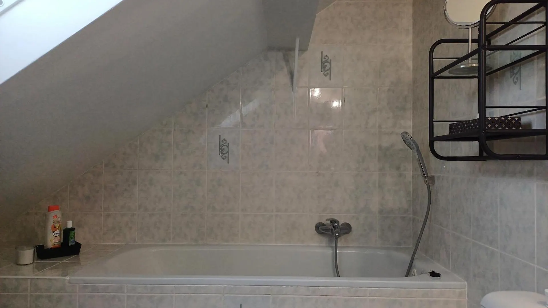 Loft Apartment Karlovy Vary